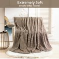 SUNNY HEAT Flannel Blanket Queen Size Luxury Bed Blanket, All Season Comfort, Skin Friendly & Lightweight, Light Gray