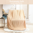 SUNNY HEAT Flannel Blanket Queen Size Luxury Bed Blanket, All Season Comfort, Skin Friendly & Lightweight, White