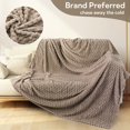 SUNNY HEAT Flannel Blanket Queen Size Luxury Bed Blanket, All Season Comfort, Skin Friendly & Lightweight, Light Gray