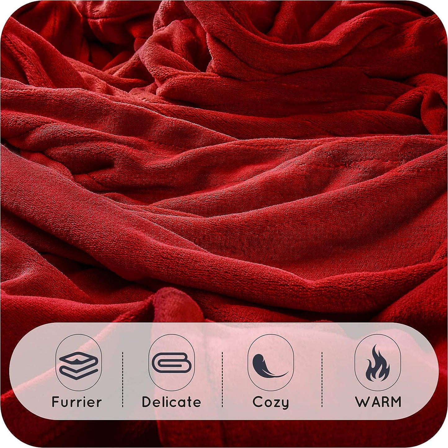 Heated Blanket 62x84'' Twin Size with 4 Heating Levels 10 Hours Auto-Off Electric Throw in Cozy Plush Fabric Reversible for Home Bedding Couch- Cherry Red